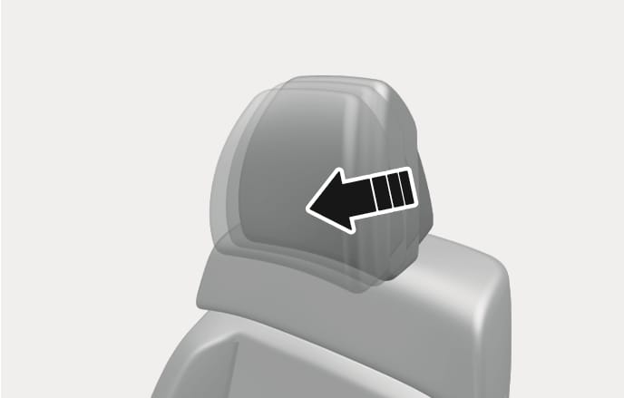 Head Restraints