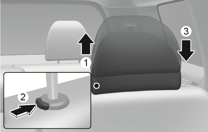 Head Restraints
