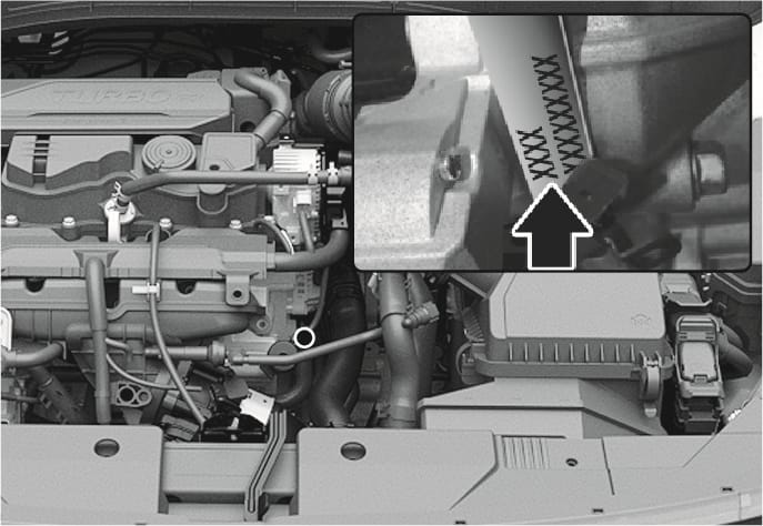 2025 Hyundai Tucson Smartstream G1.6 T-GDi engine number location image. A white circle highlights the specific area on the engine block. An inset close-up view displays the stamped engine number with a black arrow pointing to the characters. Explains the position of the stamped engine number on the engine block.