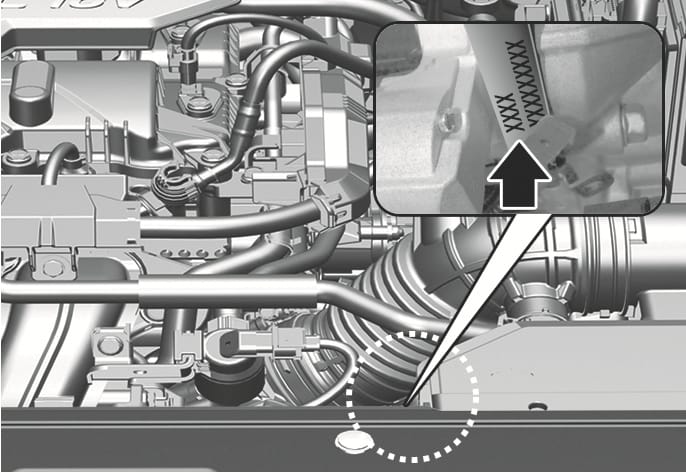 2025 Hyundai Tucson Smartstream G2.0 engine number location image. A dotted circle marks the lower engine area. A magnified inset shows a black arrow pointing to the number stamped on the block. Explains where to find the engine number.