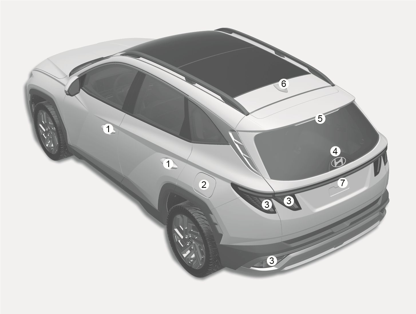 Rear Internal View Exterior overview (Rear view)- Hybrid vehicle