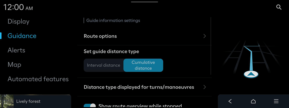 Route options or Avoidance options
