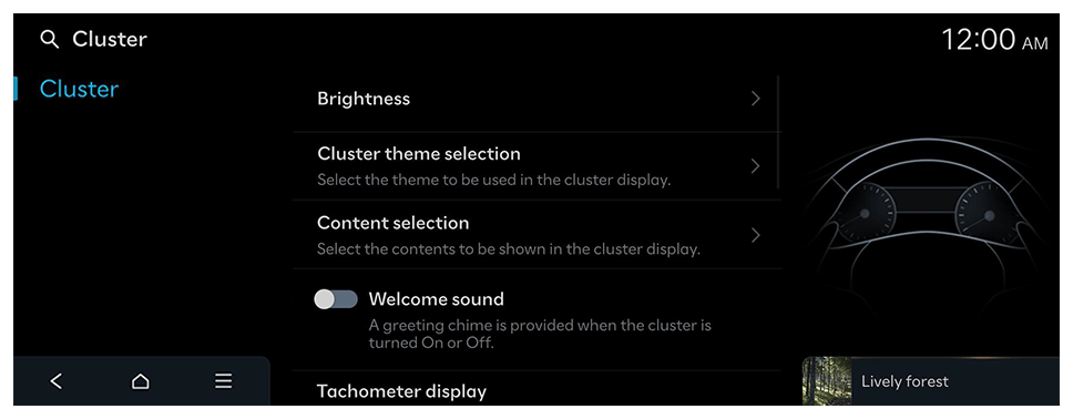 Available settings may differ depending on the vehicle model and ...